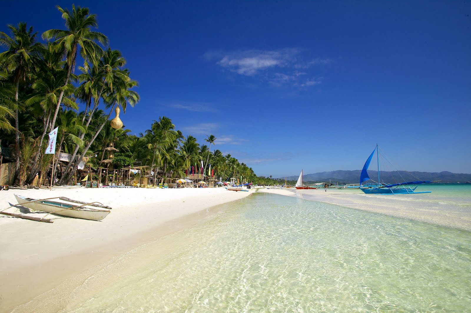 Хоста boracay фото